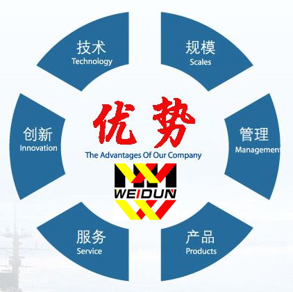 維盾優(yōu)勢(shì)